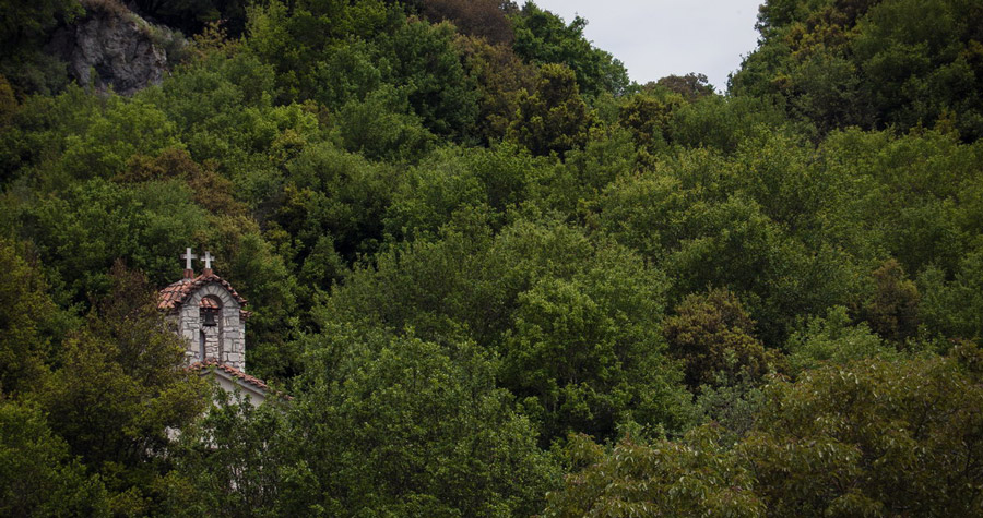 agiorgis 900x475 DSC04998